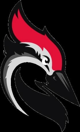 Woodpecker logo